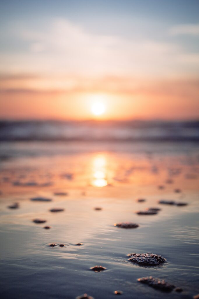 Rocks Low Tide